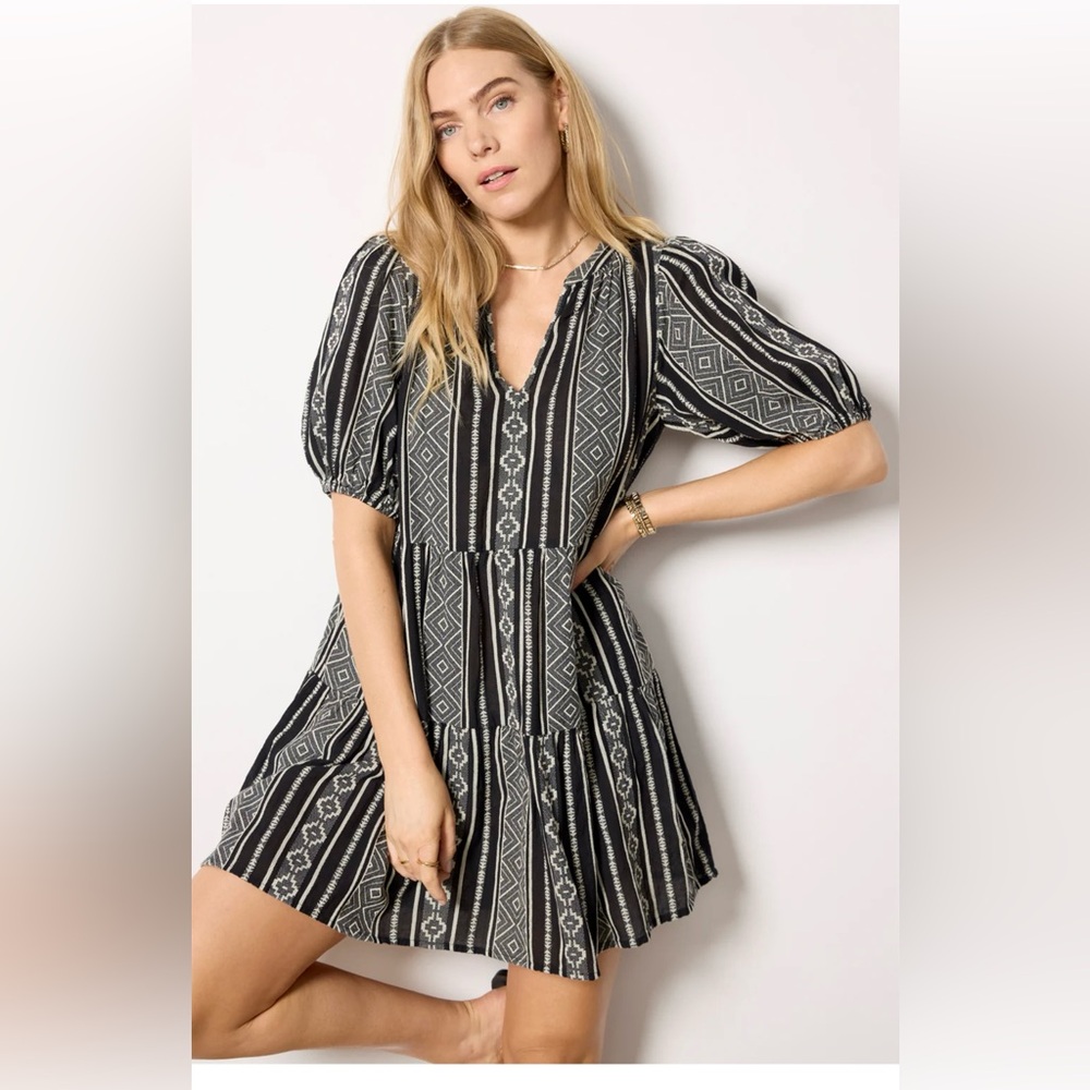 VELVET by Graham & Spencer Monique Dress in Black and Cream size M